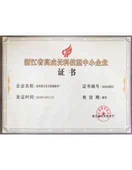 浙江省高成长科技型中小企业证书